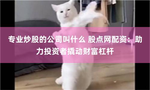 專業(yè)炒股的公司叫什么 股點網(wǎng)配資:助力投資者撬動財富杠桿